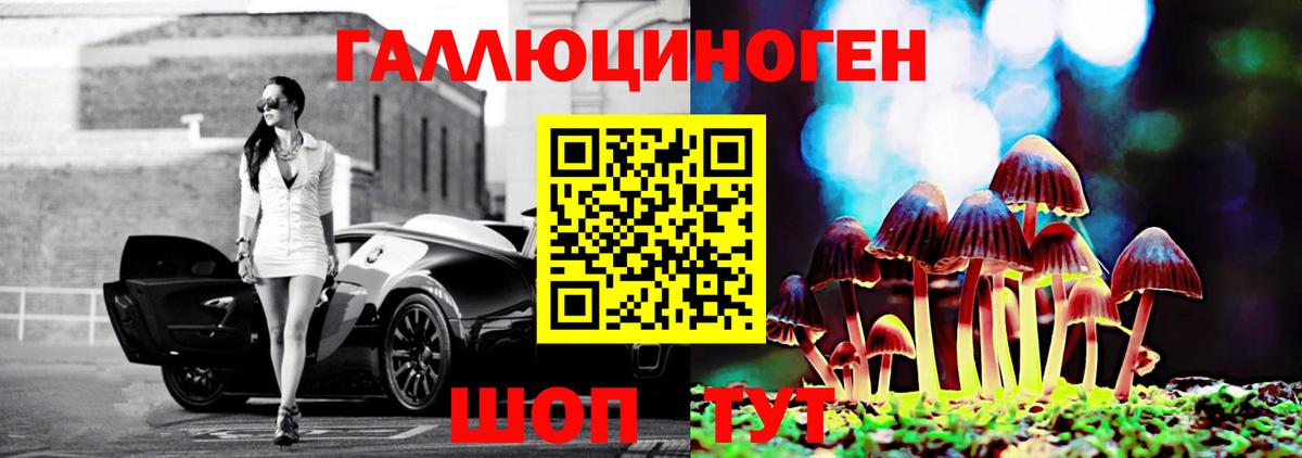 Псилоцибиновые грибы мицелий  Вход с VPN  хочу   Псилоцибиновые грибы Psilocybine cubensis  Снежинск 